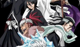 死神    动漫,跨越时空的羁绊与战斗